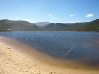 Veduta del Parco Tsitsikamma