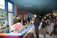 Stand del Salone 2