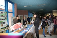 Stand del Salone 2