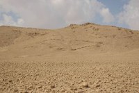 Un altro 'aquilone del deserto' nel deserto a ovest di Palmira