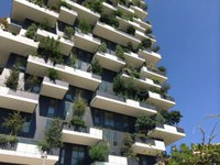 5bosco_verticale.jpg