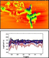 Ricostruzione AFM (in alto) della morfologia di una fibrilla in disgregazione e mappe sovrapposte di spettri NMR DOSY (in basso) per la misura della velocità di diffusione di β2-microglobulina in funzione della concentrazione di doxyciclina