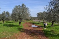 Durante la campagna di ricognizione