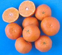 Clementine spinoso