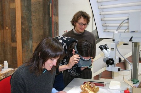 Attività nel laboratorio della Soprintendenza a Udine